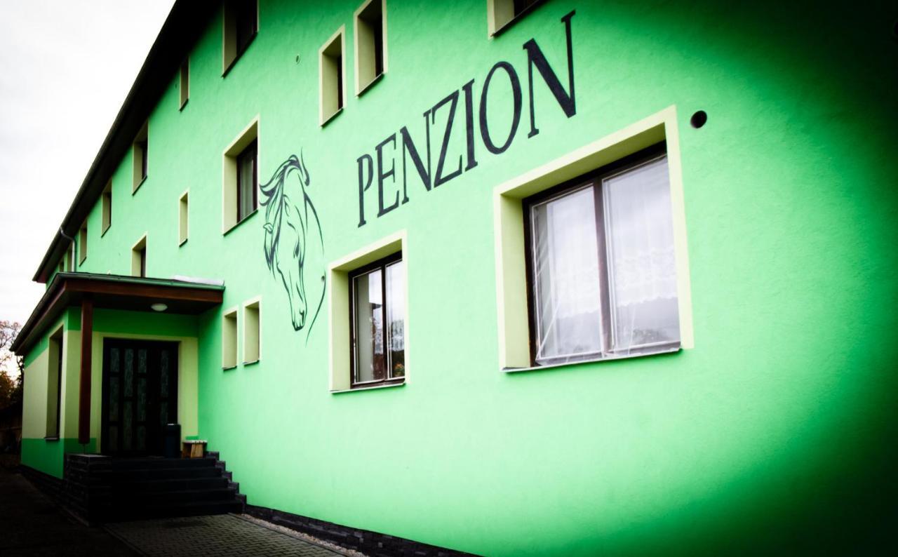 Pension Jezdecke Centrum Kocik Stružná Kültér fotó